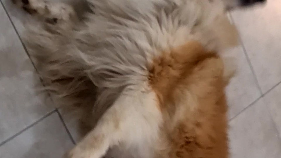 "But I Want Attention"